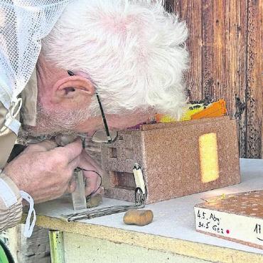 Zu Besuch bei den fleissigen Bienen - Rechts: Mit künstlich erzeugtem Rauch werden die Bienen beruhigt.