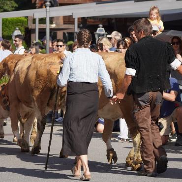 «Kuhlness» in Gstaad