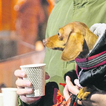 «Latärnli, Latärnli, Sunne, Mond u Stärnli» - Möchte ich lieber Glühwein oder Punsch?