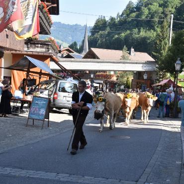 «Kuhlness» in Gstaad