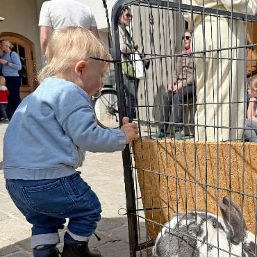 Frühlingsfreude beim Ostermarkt in Saanen - Ein echter Hase war der Hingucker des Tages. FOTOS: ELISA OPPERMANN