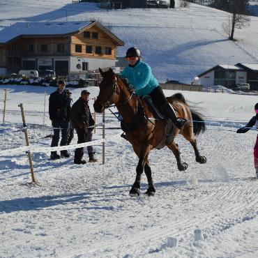 Mit Pferd und Ski um die Wette fahren
