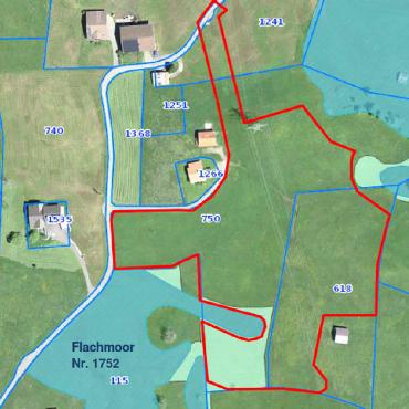 Einsprache gegen Deponieerweiterung - Auszug aus der Naturschutzkarte des Kantons Bern (Geoportal, Stand Juni 2019) mit ungefährem Deponieperimeter (rot) und Parzellen. Blau: Flachmoore von nationaler Bedeutung, hellgrün: Potenzielle Feuchtbiotope. GRAFIK: CSD INGENIEURE, LIEBEFELD