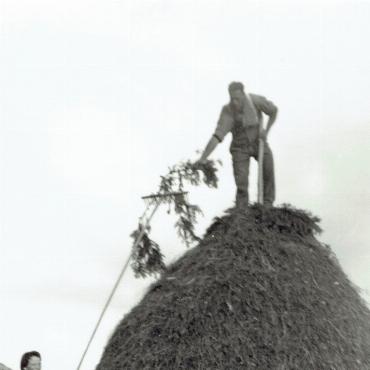Der Turnelsberg in alter Zeit – Beitrag zur Geschichte der Bewirtschaftung unsere Alpen - Fertigstellung einer Triste am Lauenenhorn um 1960.