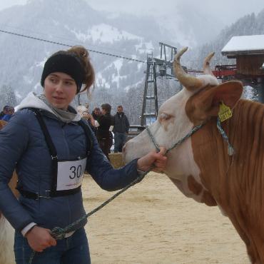 Ein guter Grund zum Feiern – die 10. Rinderexpo Saanenland