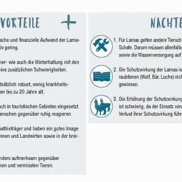 Obacht: Benji und Ari wachen über ihre Herde ...