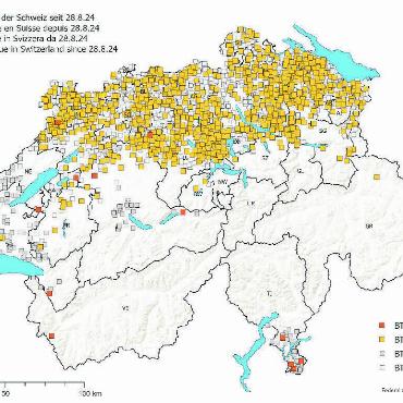Blauzungenkrankheit: neuer Impfstoff zugelassen - GRAFIK: BUNDESAMT FÜR LEBENSMITTELSICHERHEIT UND VETERINÄRWESEN