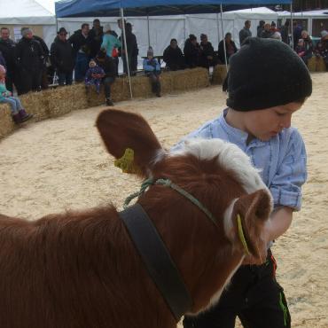 Ein guter Grund zum Feiern – die 10. Rinderexpo Saanenland