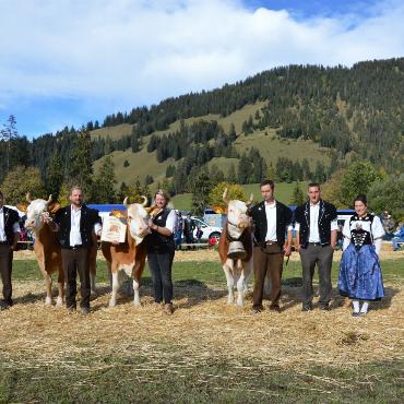Die Topschau in Bildern
