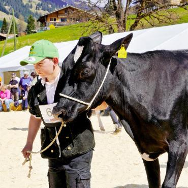 Herausgeputzte Tiere und stolze Besitzer:innen bei Königswetter - Die beiden sind ein eingespieltes Team.