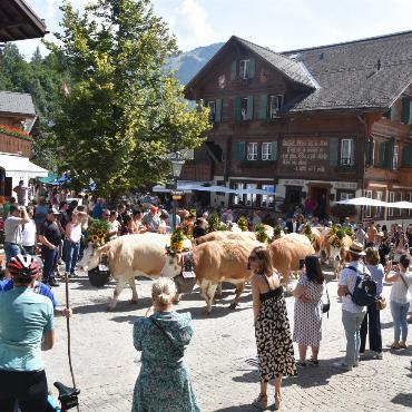 «Kuhlness» in Gstaad