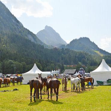 Hochkarätiger Wettkampf vor atemberaubender Kulisse - Sommerliche Temperaturen am Samstag.