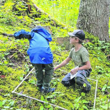 Unterwegs im Wald mit dem Ferienpass - Sie steckten einen Quadratmeter aus, zählten die Anzahl Pflanzen und …
