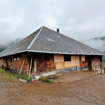 Cottier-Testament ist 300 Jahre alt - An der Alphütte Gros Craux wurde durch das Cottierstift ein neuer Stall angebaut. FOTO: KEREM MAURER