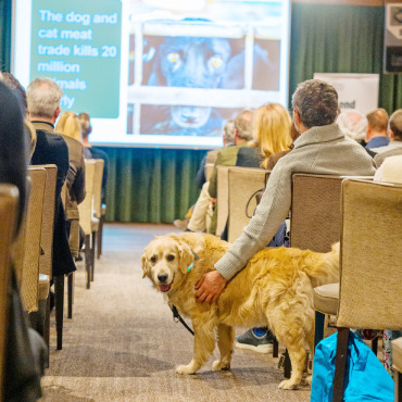Gstaad engagiert sich für Humane World for Animals - Unter den 120 Gästen waren auch einige Vierbeiner, denen der Charity-Anlass gewidmet war.