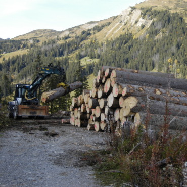 Ohne Kurs geht im Wald nichts mehr - Nicht ausgebildete Forstwarte, die gegen Bezahlung Holzerntearbeiten ausführen, müssen seit 1. Januar 2022 eine zehntägige Ausbildung absolviert haben. (Foto: Archiv)