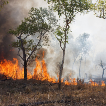 Achtung Waldbrandgefahr! - Symbolbild: AdobeStock