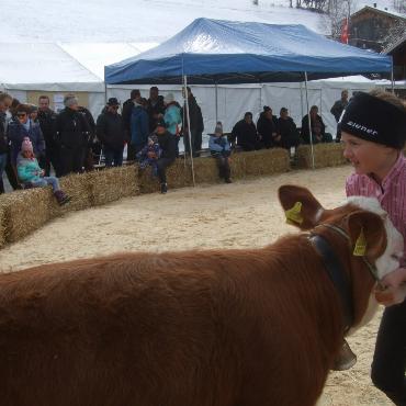 Ein guter Grund zum Feiern – die 10. Rinderexpo Saanenland