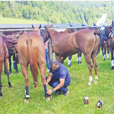 Polosport: Ästhetik und Glamour - Ein Pferdepfleger (Groom) bei der Vorbereitung der Pferde. FOTOS: EUGEN DORNBIERER-HAUSWIRTH