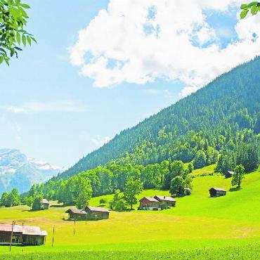 Pilotprojekt zur Rettung von Schürli - Im Pilotareal am ostwärts ausgerichteten Hangfuss des Staldehores im Grund findet sich eine Kulturlandschaft, deren traditioneller Charakter weitgehend erhalten ist. Sie erstreckt sich von der Talsohle auf circa 1000 Metern über Meer bis zu den Vorschessen auf dem Vorder Läger auf rund 1400 Metern. FOTO: KEREM MAURER