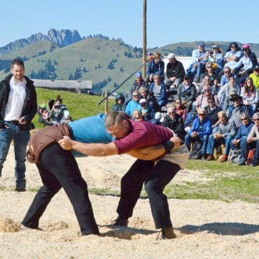 Eine neu entdeckte Faszination für Sportjournalismus - Das Hornberg-Schwinget fand bei strahlendem Wetter statt. Vor atemberaubender Bergkulisse konnten die Zuschauer:innen die Schweizer Tradition hautnah verfolgen. FOTO: ELISA OPPERMANN