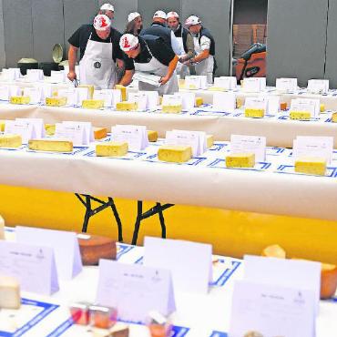 Molkerei Gstaad und Schönried erfolgreich an Swiss Cheese Awards - Qual der Wahl: Insgesamt 1064 Käse in 32 Kategorien mussten bei den Swiss Cheese Awards bewertet werden. FOTOS: MARCEL BIERI
