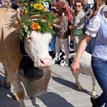 Zehn Jahre Züglete: Gstaad feiert Tradition mit Herz - Schöner Blumenkranz. FOTO: SONJA WOLF