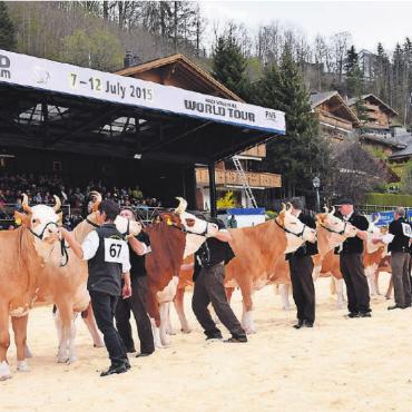 Neues Datum für die 14. Amtschau Saanen - Schöne Erinnerungen werden wach beim Betrachten von Bildern der Amtschau 2015 auf dem Eisbahnareal in Gstaad. Auch die nächste Amtsschau wird auf dem Platz stattfinden, wo im Sommer Volleyballspieler und Tennisgrössen um begehrte Titel kämpfen. FOTO: ARCHIV AVS/ANITA MOSER