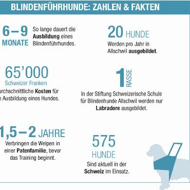 JFK sammelt 13’000 Franken für Blindenführ- und Assistenzhunde