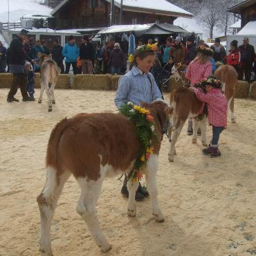 Ein guter Grund zum Feiern – die 10. Rinderexpo Saanenland
