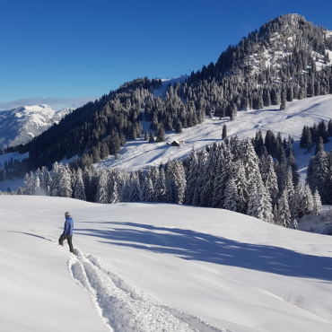Endlich wieder Schnee!