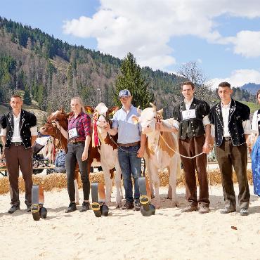 Herausgeputzte Tiere und stolze Besitzer:innen bei Königswetter - Die drei Siegerrinder mit dem Juror und den Ehrendamen: (25)Ariana, Jungzüchterin Perreten Tamara, Feutersoey; (33)Gobeli’s Achilles Elanya, JZ Gobeli Timo, Saanen; (47)Turbach Armando Bella, JZ Bach Simon, Turbach. FOTOS: HANS BETTLER