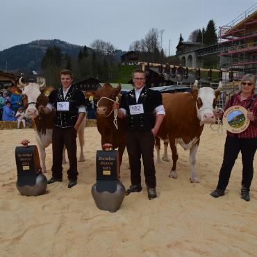 Starke Simmentaler, ausgeglichenes Swiss Fleckvieh und Top-Red-Holstein- und Holsteinkühe