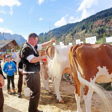 Auf Juvenias Spuren an die Topschau