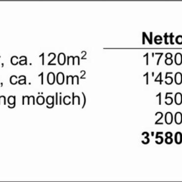Protokoll der 3. ausserordentlichen Gemeindeversammlung von Saanen