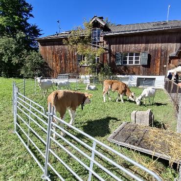 Ein stimmungsvolles, «ärdeschöns» Wochenende in Saanen