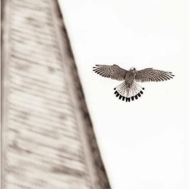 LESERBILDER - «Up in the air», schreibt Corinna Müller zu ihren Schnappschuss. FOTO: CORINNA MÜLLER, SAANEN