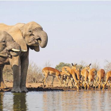Afrika-Reisen, die berühren