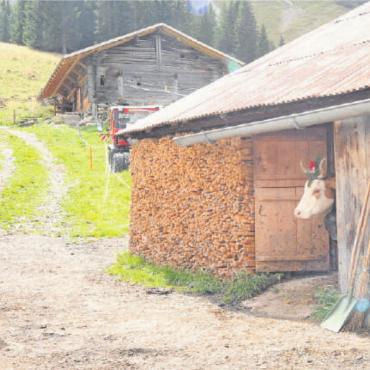 Gstaad Züglete 2022 – ein Publikumsmagnet - «Nume nid z’gsprängt!» FOTO: JENNY STERCHI