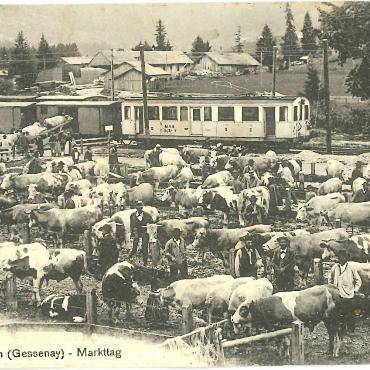 LESERBILDER - Zu dieser Postkarte aus dem Jahr 1910 schreibt unser Leser Otto Maurer-Gander: «Beim Räumen der Wohnung meiner Grosseltern im Jahr 1955 kam eine alte Postkarte zum Vorschein, welche ich seither aufbewahre. Was würden wohl die heutigen Simmental-Reinzüchter zu diesem Bild sagen? Ein Fortschritt der Viehzucht in über 100 Jahren ist offensichtlich.» OTTO MAURER-GANDER, ORTSCHWABEN