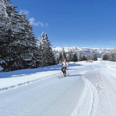 LESERBILDER - Oben: Alleine im Paradies … FOTOS: RENE PIEREN, ZWEISIMMEN