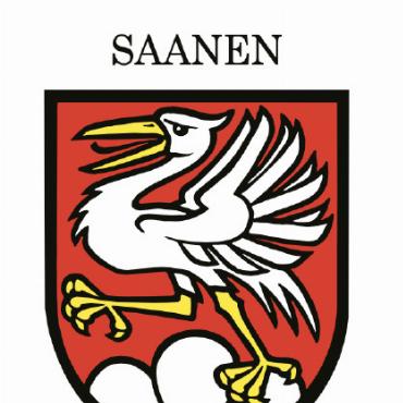 Frisch von der Leber weg: Geschichten aus der Gstaader Vorzeit - Mit einer guten Portion Humor hat Ruesch ein passendes Wappen für Gstaad (ganz rechts) entworfen, das auch den Umschlag seines Buches ziert. VISUALISIERUNGEN: ZVG & ANTON RUESCH