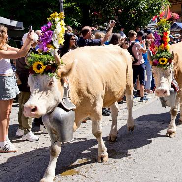 Zehn Jahre Züglete: Gstaad feiert Tradition mit Herz - Alle Handys sind auf die Stars der Promenade gerichtet. FOTO: SONJA WOLF