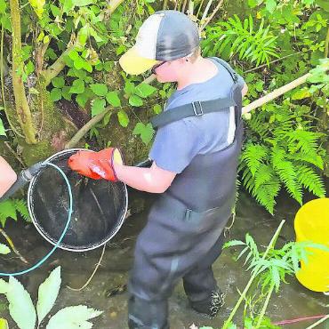 Projektwoche «Renaturierung Schürmattbach» der 9b des OSZ Ebnit - Abfischen mit dem Elektrofanggerät.