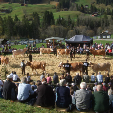 «Gniesset d Freude, wo der Herbscht no git!» - Die Topschau fand bei prächtigem Herbstwetter statt. (Foto: Vreni Müllener)