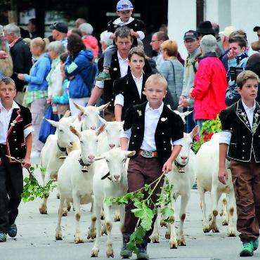 Hut, Stiefel und Weste an: Die Country Night Gstaad feierte 35 Jahre - Unser Maskottchen, die Saanengeiss. FOTO: ALINE STARK