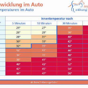 Todesfalle Auto - Schon nach wenigen Minuten kann für den Hund Lebensgefahr bestehen. FOTO: ZVG
