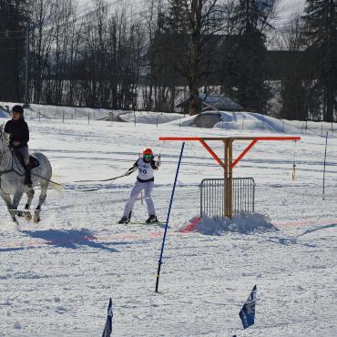 Mit Pferd und Ski um die Wette fahren
