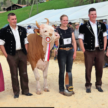 Nachwuchs glänzt an der Viehschau - Miss Simmental von Vanessa Perren, St. Stephan.