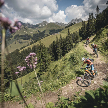 E-Mountainbike-Boom aus wissenschaftlicher Sicht - Mit dem E-Mountainbike geht`s leichter hinauf und die Energie reicht noch, um sich anschliessend an der Abfahrt zu erfreuen. (Foto: zVg)